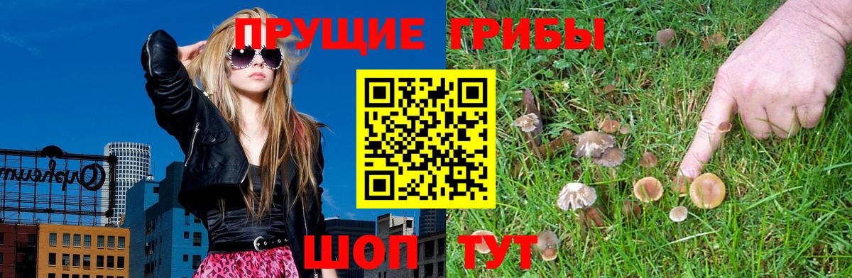 Полысаево  Галлюциногенные грибы ЛСД  Вход с VPN  Псилоцибиновые грибы GOLDEN TEACHER 