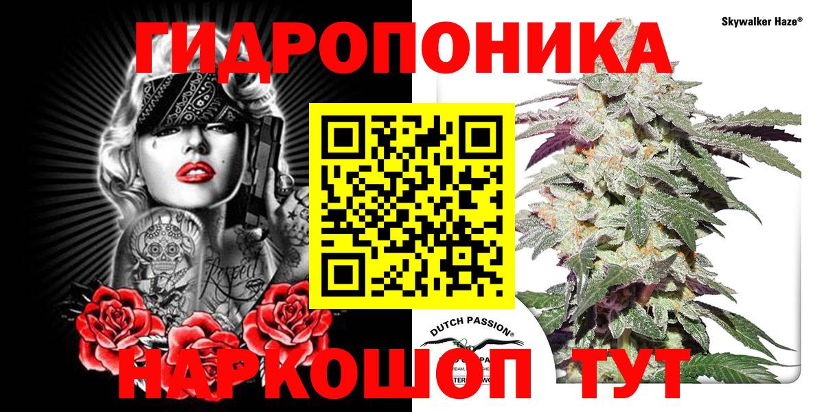 Каннабис сатива Полысаево
